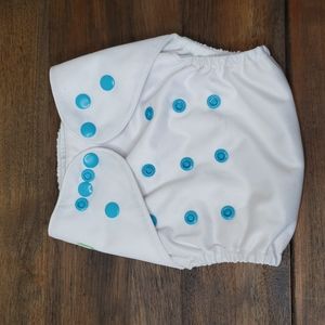 Wegreeco Adjustable Pocket Cloth Diaper
